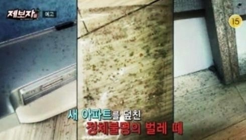 해당 내용을 방송한 KBS 제보자들 갈무리
