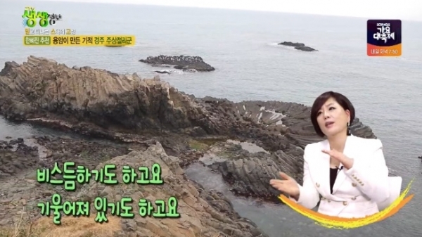 ⒸKBS 2TV 교양프로그램 '생생정보' 화면 캡처