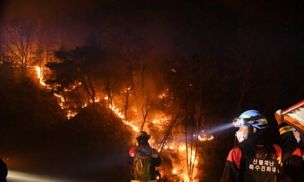 산불재난특수진화대가 야간에도 안동시 풍천면에서 발생한 산불을 진화하고 있다.ⓒ산림청