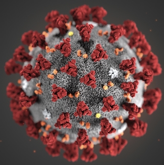 미국 질병통제예방센터(CDC)가 1월에 발표한 '신종 코로나바이러스(우한 폐렴)'의 일러스트 이미지.