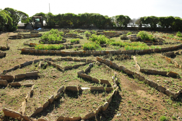 아시나라섬에 있는 마피아 수용소 정원. 사진/홍선기