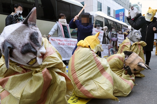 지난해 '1500만 반려인연대' 등 동물단체 회원들이 서울 여의도 더불어민주당사 앞에서 기자회견을 열고 민주당의 동물공약 이행 및 개, 고양이 식용문화 반대와 학대 금지 등을 촉구하는 퍼포먼스를 하고 있는 모습. 기사 내용과 무관. 사진/뉴시스.