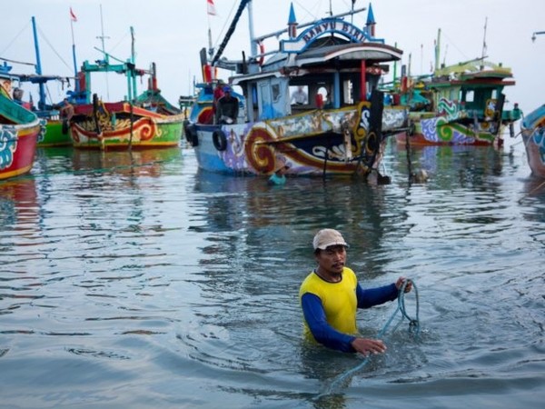 총 인구가 2억 5,500만 명으로 세계에서 네 번째 규모인 인도네시아의 어업은 국가 식량 안보를 지원하는 데 중요한 역할을 하고 있다. 