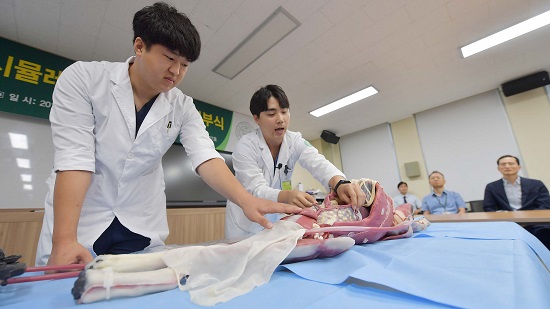 국민의힘 허은아 의원이 21대 국회에서 처음으로 발의한 '동물병원 진료항목 표준화 및 진료비 공시제법'이 9일 대안으로 병합돼 국회 본회의를 통과했다. 사진/ 뉴시스 제공