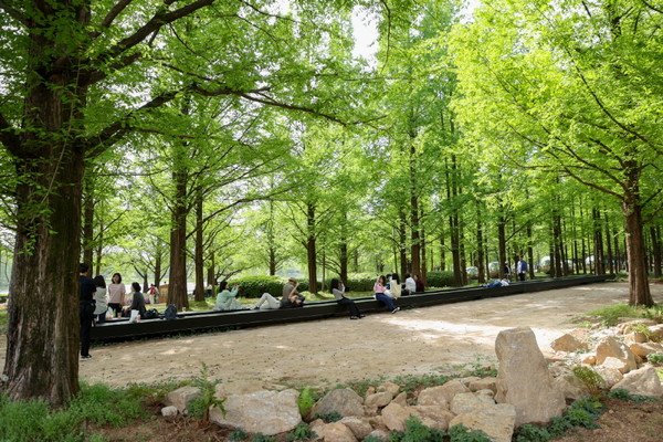 60m 탄소 벤치가 설치된 황지해 작가의 정원/사진 고양시