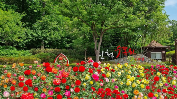 인천수목원 전경사진/인천시