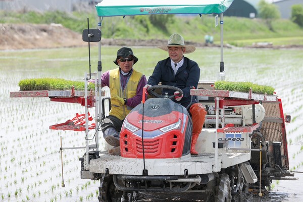 .이앙기를 이용해 모내기 시연 중인 이동환 고양특례시장/사진 고양시
