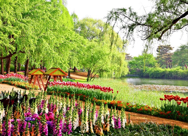 ‘꽃, 상상 그리고 향기’ 2025고양국제꽃박람회, 4월 25일 개막