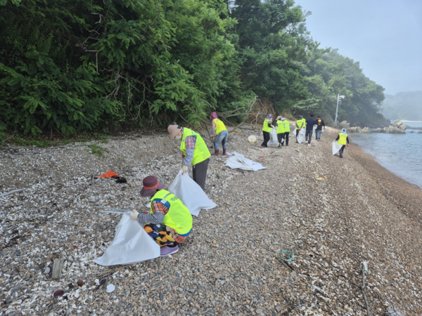 옹진군 해안가 정화활동 / 사진 인천시