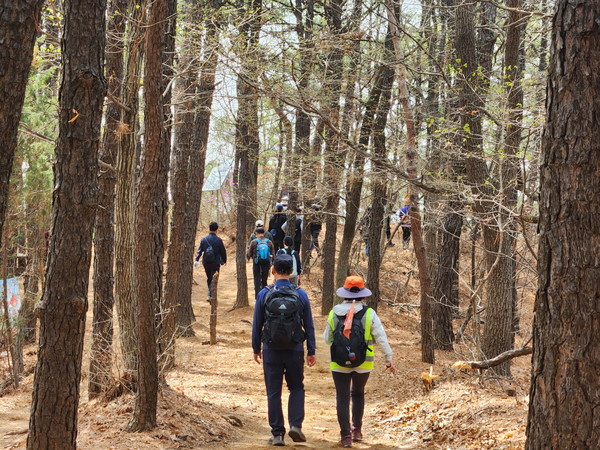 울창한 숲길이 이어지는 고봉누리길/ 사진 고양시