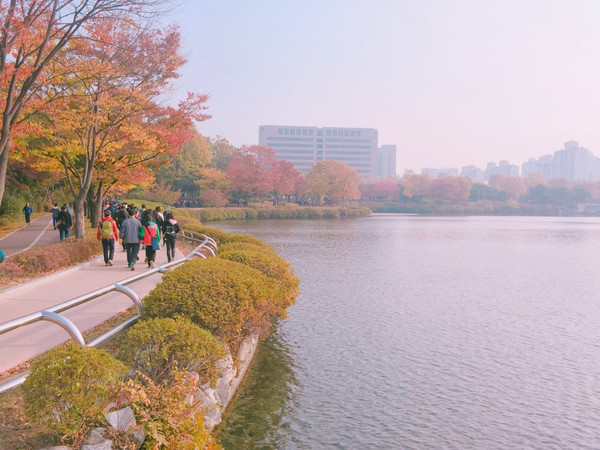 호숫가를 따라 걷는 호수누리길. 사진/고양시