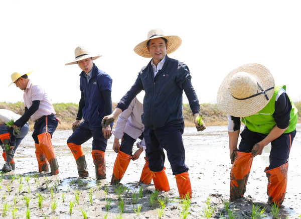 손 모내기를 하고 있는 이동환 고양특례시장/ 사진 고양시