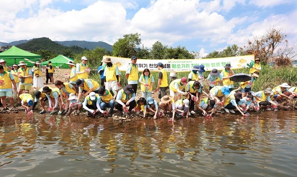 에쓰오일  임직원 가족, 대학생 천연기념물지킴이단 등 봉사활동 참가자들이 황쏘가리 치어를 방류하고 있다. / 사진 = 에쓰오일 제공