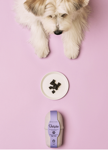 반려동물과 '할로윈 파티'도 동아제약 '벳플'과 함께 / 사진 = 동아제약 제공